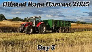 Day 3 of oilseed rape harvest 2025 #masseyferguson #farming #agriculture