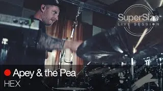 SuperSize LiveSession - Apey & the Pea -  Hex