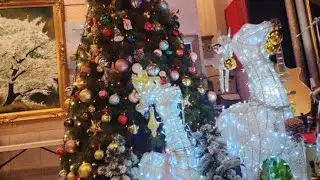 품바싱어설녹수tv 🍀라이브 방송,(25/12/24일 힐러리움),[설녹수tv]