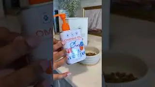 One Product Every Pet Parent Needs