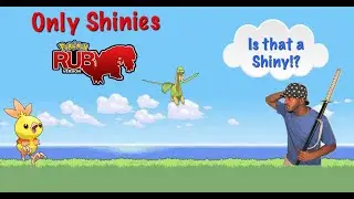 POKEMON RUBY