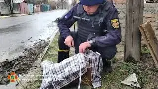 Ukrainian EOD Defuses Massive Anti Personnel Mine