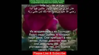 Сура Аль-Байина 98:8 |Чтение Корана с русским переводом| Quran Translation Surah Al-Bayyinah البينة
