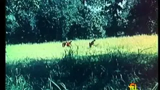 BASTAR - RHYTHM OF PROGRESS