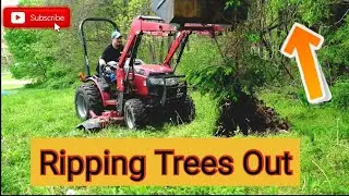 Tree Replacement, Also 2021 Orchard Maintenance