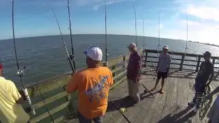 BJ Blackmon 23lb King Mackerel from Seaview Pier 05162015
