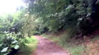 Oaks bottom 12