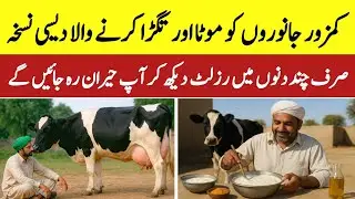Homemade recipe to make weak animals fat and healthy | Dairy Farming Weight Gain Formula
