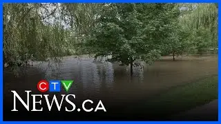 Western University encourages public to help with ecological rehabilitation