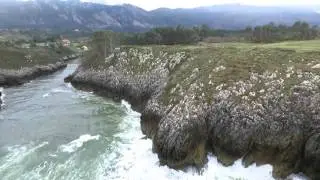 VIDEO GUADAMIA