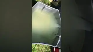 Camping shower/toilet tent, basecamp