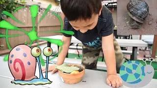 Rockin Robin Kids Looking for Snails, Snail Slime and Bug Hunting