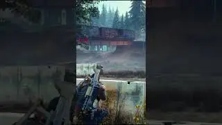 Покошмарили Орду #daysgone