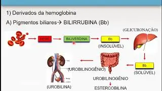 Pigmentações e calcificações patológicas - Patologia Geral  (1/8)