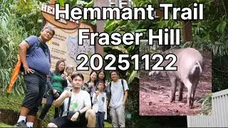 20251122 Hemmant Trail Fraser Hill