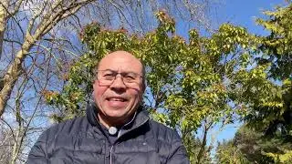 Porque los gringos se enseñorean de casi todo?