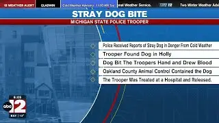 Malnourished dog bites Michigan State Police trooper near Holly