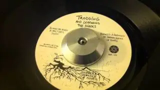 The Shades - Trodding and Learning