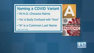 Why Is The New COVID Variant Named Omicron?