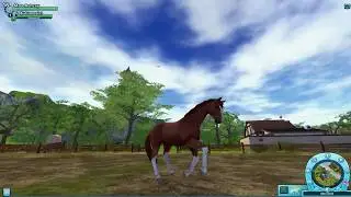 TRAKEHNER / NEW HORSE / SSO REVIEW