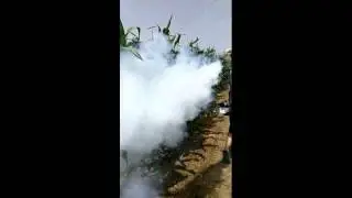 Backpack Thermal Fogger in cornfield