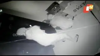 Watch - Robbers Unsuccessfully Trying To Rob Bank At The Suburbs Of Bhubaneswar