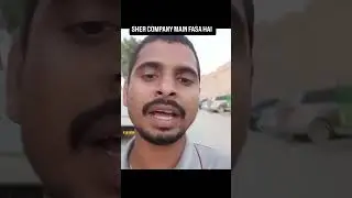 Sher 12gante company main fasa hai🤣 #funny #comedylovervlog #funnypictures #comedy #viral #funnyface