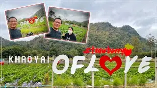 KHAO YAI STRAWBERRY OF LOVE | STRAWBERRY FARM | MORNING WALK AND QUENCHING DRINKS | AMAZING THAILAND