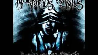 Totengr&auml;ber - Sinnlos (MorbiduS-CantuS)