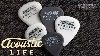 Ernie Ball Prodigy Picks Review