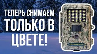 Фотоловушка с LED-подсветкой | Тестируем ScoutGuard SG562-C в лесу