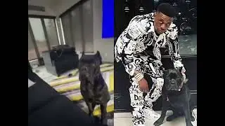 Boosie Shows Footage of His Cane Corso Defending His Georgia Home
