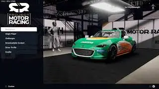 Live project motor racing can i get a 1:10 ?