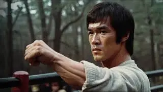 The REAL Reason You're Underestimating Bruce Lee's Punching Power