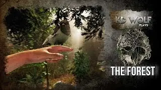 The Forest Episode 1, First Impressions from KD Wolf