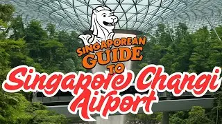 🇸🇬 Singaporean Guide to Changi Airport | Terminal to Terminal Walkthrough ✈️