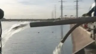 VIDEO: Trout return to Tempe Town Lake