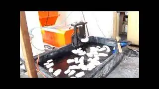 EPS foam densifier