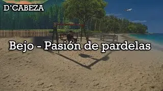 Bejo - Pasi&oacute;n de pardelas - Letra