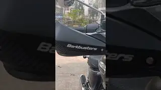 Barkbusters Nucket Guard.