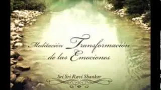 Meditaci&oacute;n Transformaci&oacute;n de las emociones