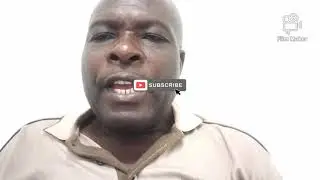 VLOG ZIM