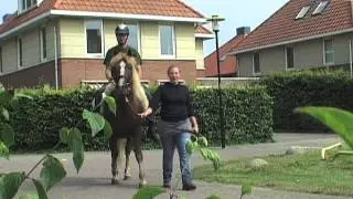 's Heeren Loo Boldershof