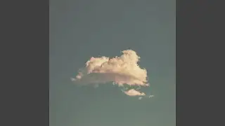 Try a Little Bit