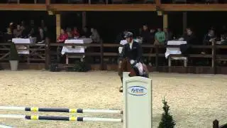 Hunters Excellent VDZ (Tangelo x Thunder) 5 years old BWP approved stallion