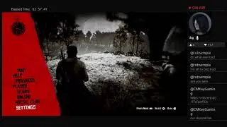 RED DEAD REDEMPTION 2 | Live | First Time Playing