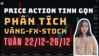 ✅Ph&acirc;n T&iacute;ch V&Agrave;NG-FOREX-STOCK Tuần 22/12-26/12 Theo Phương Ph&aacute;p Price Action Tinh Gọn | TraderViet