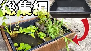 【総集編】初心者が作る！陸地のある和風ビオトープ