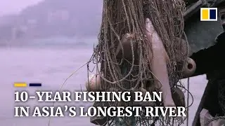 China imposes a 10-year fishing ban for Yangtze River to protect marine biodiversity