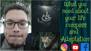 What you need to know about your life compass and adaptation. 🙂